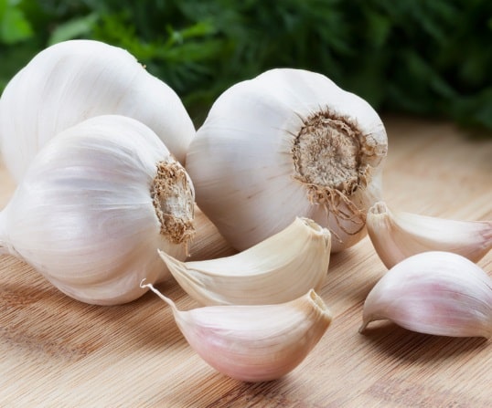 Garlic