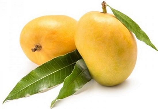 Mango