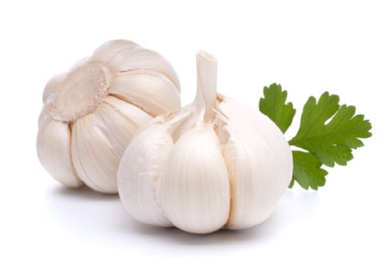 Garlic