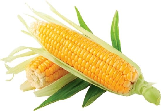 Sweetcorn